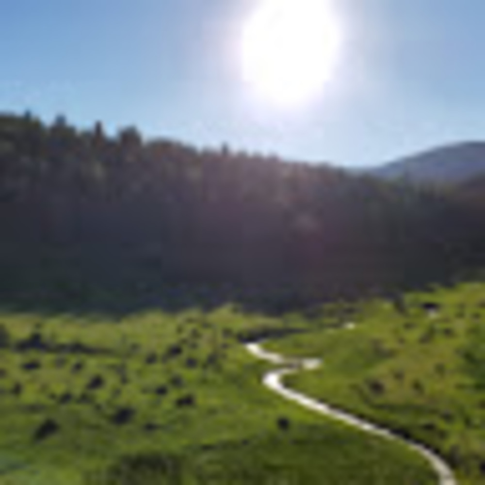 Meet your Posher, Tanya